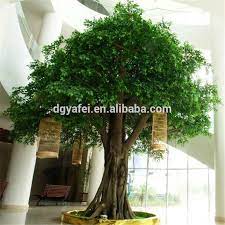 Sunm boutique artificial ficus branches leaf spray, faux silky ficus tree twig, banyan branches real touch leaves ficus microcarpa for home, wedding, office, banquet decor, 31'', 3pcs. Artificial Fake Banyan Tree Ficus Tree Branch Miniature Banyan Tree Buy Miniature Banyan Tree Fake Banyan Tree Artificial Ficus Tree Branch Product On Alibaba Com
