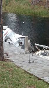 Maybe you would like to learn more about one of these? Lake Saunders Rv Resort 1175 Bay Rd Mt Dora Fl 32757 Usa