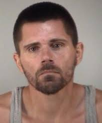 Landscaper who dropped business card arrested in theft of ladder from  Villager's home