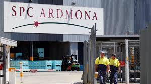 Victoria's chief health officer says he will go to great lengths to make sure positive cases are telling the. Spc Slams Amwu For Fear And Confusion Over Mandatory Vaccination Push