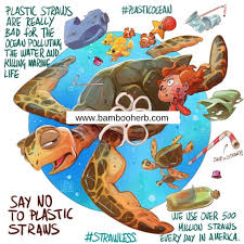 Use Less Plastic Save The Turtles Switch To Reusable Plastic Straws Visi Save The Sea Turtles Save Earth Endangered Species Art