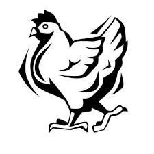 Konon ayam ini sebelumnya memiliki paruh yang warnanya putih dan juga dagingnya dipakai sebagai obat di kala itu. 10 6x12cm Farm Cartoon Chicken Fun Vinyl Decal Black Silver Car Sticker Car Styling S6 2610 Car Sticker Vinyl Decalcar Decal Sticker Aliexpress