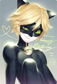 Chat Noir Miraculous Ladybug And Cat Noir Ladybug Cat Noir Chat Noir