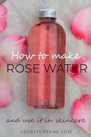 How To Make Rose Water Toner Using Fresh Rose Petals Lovely Greens Fresh Rose Petals Rose Water Rose Water Toner
