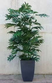 Specifically, look for interesting shapes, colors, and materials. Artificial Plants And Trees Factory Direct Showroom Melbourne