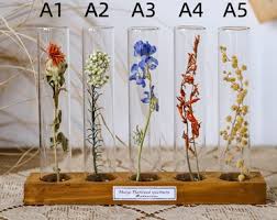 Erika Trask's favorite items