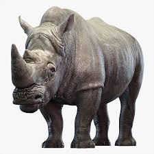 Rhinoceros is a powerful 3d design program which uses nurbs geometry to describe any form regardless of size or complexity. Rhino 3d Model 179 Fbx Obj Ma Free3d