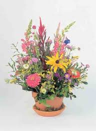 A great wholesale floral market located in eado. Grow Flowers For Profit Organic Gardening Mother Earth News