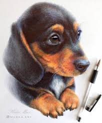 Animal Art With Pencil Ballpoint Pen And Paint Animal Art Animal Drawings Dachshund Art