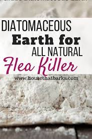Diatomaceous earth is very effective against fleas. Pin On Jackie Housethatbarks Com