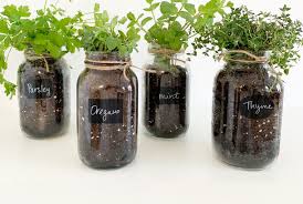 Spring is a great time to start a garden, and we've been thinking about growing herbs to cook with. This Diy Indoor Herb Garden Can Be Made In Six Easy Steps