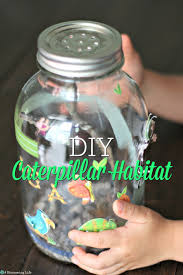Check spelling or type a new query. Diy Caterpillar Habitat A Blossoming Life