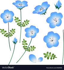 Find millions of popular wallpapers and ringtones on zedge™ and personalize your phone to suit you. Baby Blue Eyes Flowers Nemophila Flowers Watercolour Print Blue Flowers Print Digital Art Collectibles 330 Co Il