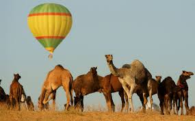 They ran to the center of the tent to take their bows. Pushkar Camel Festival 2019 Pushkar Fair 2019 Dates Activities