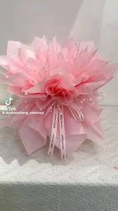 MaiLa Vang (mailavang995)