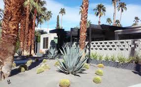 Landscape illustration of yellow sand dunes. Desert Landscapes On The Modernism Week Garden Tour Plantscapers