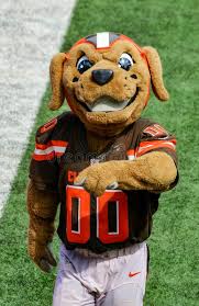 The cleveland browns will have a live bulldog as a mascot this upcoming season. Nfl Mascot Chomps The Cleveland Browns Nfl Cleveland Browns Mascot Chomps Mak Sponsored Sponsored Sponsored Masco In 2020 Cleveland Browns Nfl Browns Mascot