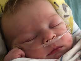 Fundraiser for Caitlyn King by Deborah Henry : Help for Baby Lindy