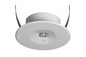 Royale 36 in w x 30 in. Safety Luminaire Central Battery Micropoint 2 Eaton