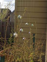 We did not find results for: A Pretty Way To Scare The Birds Away From My Blueberries Scare Birds From Garden Garden Yard Ideas How To Scare Birds Away