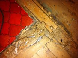 Image result for site:byggahus.se hardwood