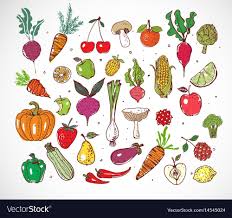 Colored Doodle Fruits And Vegetables Isolated On Vector Image On Vectorstock Fruits Drawing Fruit Doodle Vegetable Illustration