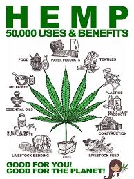 Pin On Weed