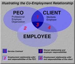 There are many hr options available to the marketplace these days, and while that creates great. What Exactly Is A Peo Hr Strategies