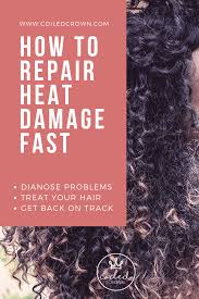 How To Repair Heat Damaged Hair Fast Hair Tips Coiled Crown Heat Damaged Hair Damaged Hair Repair Hair Treatment Damaged
