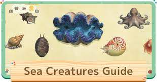 Fish with the river (mouth) location can be found in the area where the ocean meets. Animal Crossing Sea Creatures List Prices Guide Acnh Gamewith