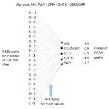 The full body workout split. Automated Alphabet Reduction For Protein Datasets Bmc Bioinformatics Full Text