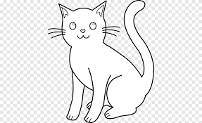 Cat Kitten Cizim Cizim Yavru Kedi Beyaz Memeli Png Pngegg