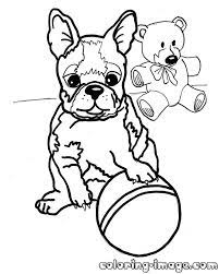 Make a coloring book with boston terrier for one click. Boston Terrier Coloring Pages Printable Coloring Home