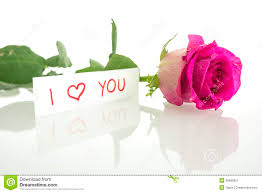 Résultat de recherche d'images pour "you are beautiful rose"