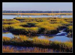 Intracoastal Waterway At Beaufort Sc 1998 Waterway Intracoastal Waterway Beach Landscape