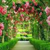 Join facebook to connect with indah bunga di taman and others you may know. Https Encrypted Tbn0 Gstatic Com Images Q Tbn And9gctbfhsqiwklbj8nxjfz6nkvwiw Lw2q5vvl Lgk18qujg48prvi Usqp Cau