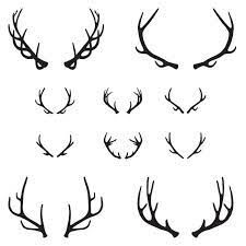 We did not find results for: 2 741 Moose Antlers Vector Images Free Royalty Free Moose Antlers Vectors Depositphotos