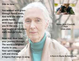 Any recommendations for a metal/steel garbage bin maker?