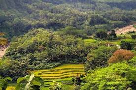 Tempat Wisata Di Ciamis Terbaru 2020 Paling Indah Dan Hits Tempat Alam