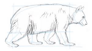 How To Draw A Bear Fur Texture Animal Drawings Bear Drawing Drawings