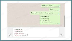 Variasi dan penegasan tulisan mungkin di perlukan dalam menulis di whatsapp messenger, inilah cara membuat tulisan agar lebih menonjol. Cara Bold Italic Strike Code Font Di Whatsapp Teknozone Id