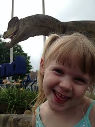 Hello to all fellow roller coaster enthusiasts. Having grown up in Ohio, I  have fond memories of visiting Americana and later Kings Island, which  became a summer staple with my children. We