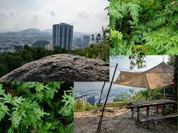 Bukit besi trail alam damai | cinematic viewподробнее. Bukit Besi Hiking Trails Taking On The Iron Hill Meowtainpeople