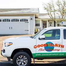 Salem rat control and rodent removal. Pest Control From Good Earth Pest Company Local Corvallis Eugene Salem Family Owned