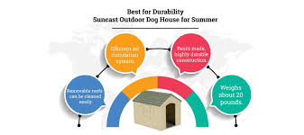 Boston dynamics' top dog in construction. Best Dog House For Hot Weather Summer Warm Top 6 Picks 2021