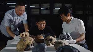 Human evolution timeline challenged by ancient skull reconstruction - The  Washington Post