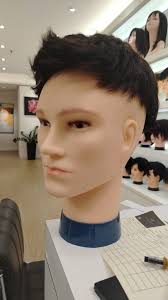 Wigwise hair solution