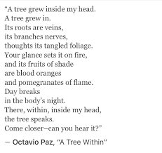 No more clichés, between going and coming, as one listens to the rain. Octavio Paz Octaviopaz A Tree Within Wisdom Quotes Love Poems Cool Words