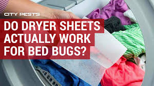 See more ideas about getting rid of mice, mice repellent, mice control. Can You Get Rid Of Bed Bugs With Dryer Sheets Correct Answer