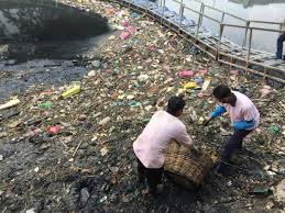 Pengasingan sisa pepejal di rumah. Patah Sayap Terbang Jua Perlaksanaan Dasar Pengasingan Sisa Di Punca Di Mana Kita
